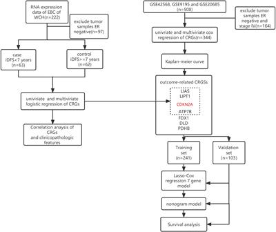 A nomogram based on cuproptosis-related genes predicts 7-year relapse-free survival in patients with estrogen receptor-positive early breast cancer